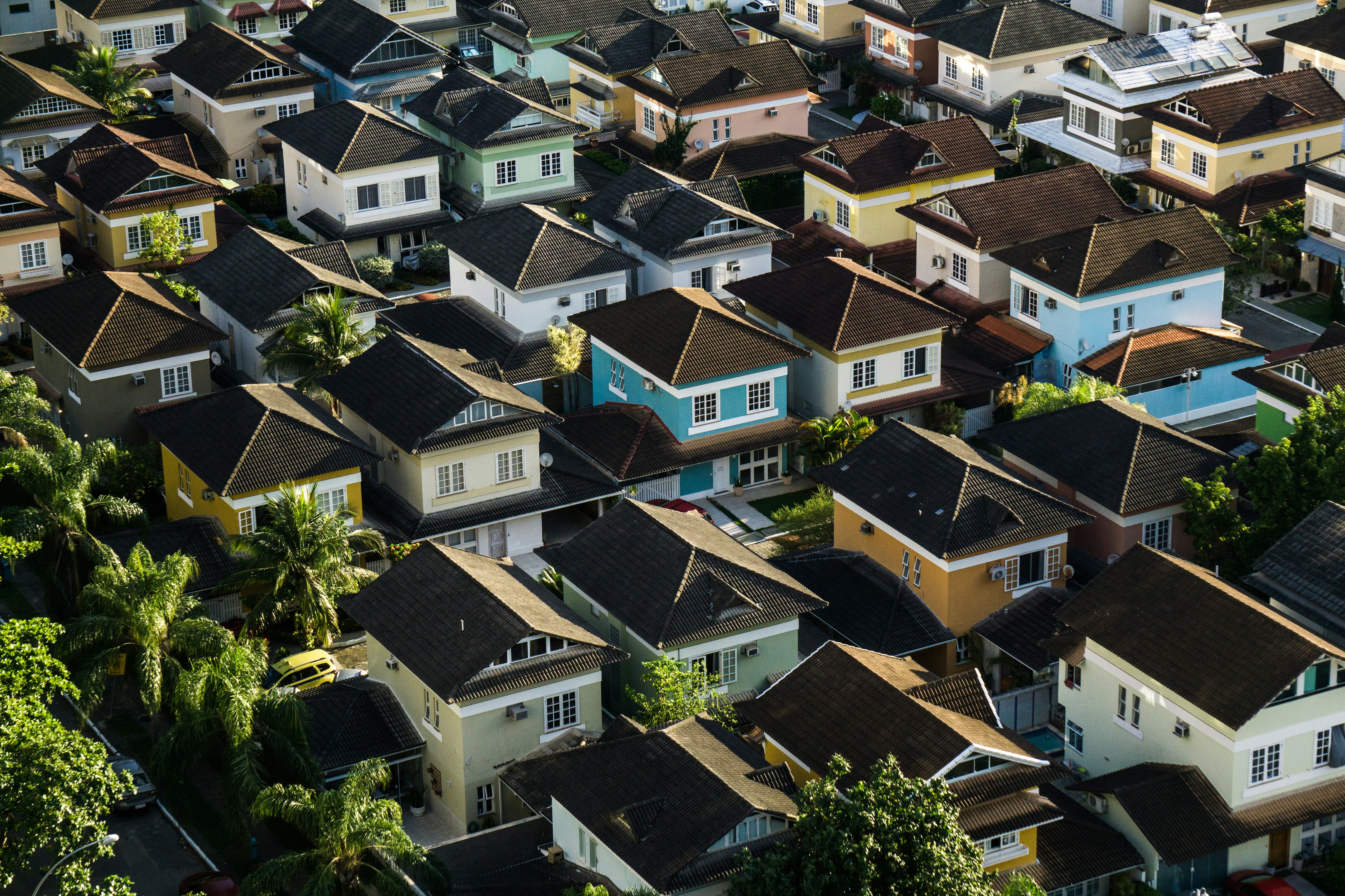 Community Impact & Stakeholder Strategy